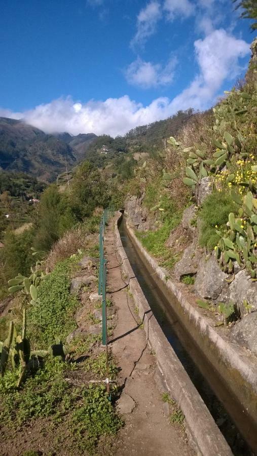 Ribeira Brava Studio Sea View Διαμέρισμα Εξωτερικό φωτογραφία